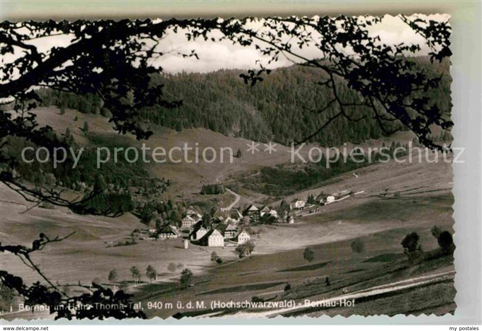 42809590 Bernau Schwarzwald Panorama Hans Thoma Tal Bernau Im Schwarzwald - Bernau