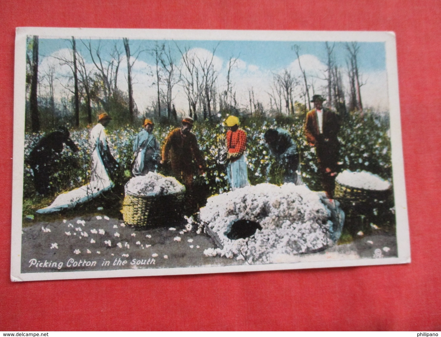 Black Americana Picking Cotton In The South--- Ref 2937 - Black Americana