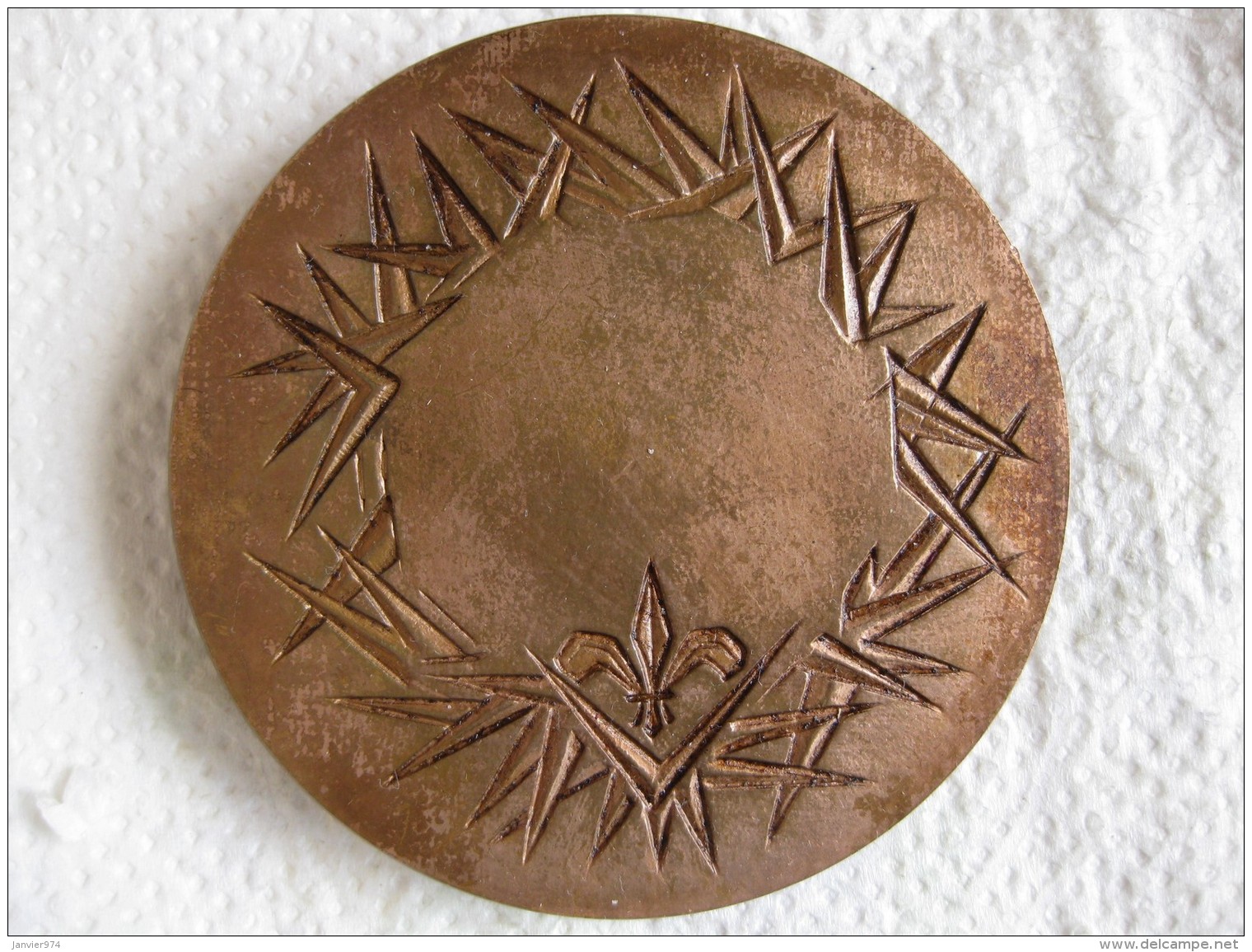 Médaille En Bronze 1978 Saint Louis, Par J.H. Coëffin - Autres & Non Classés