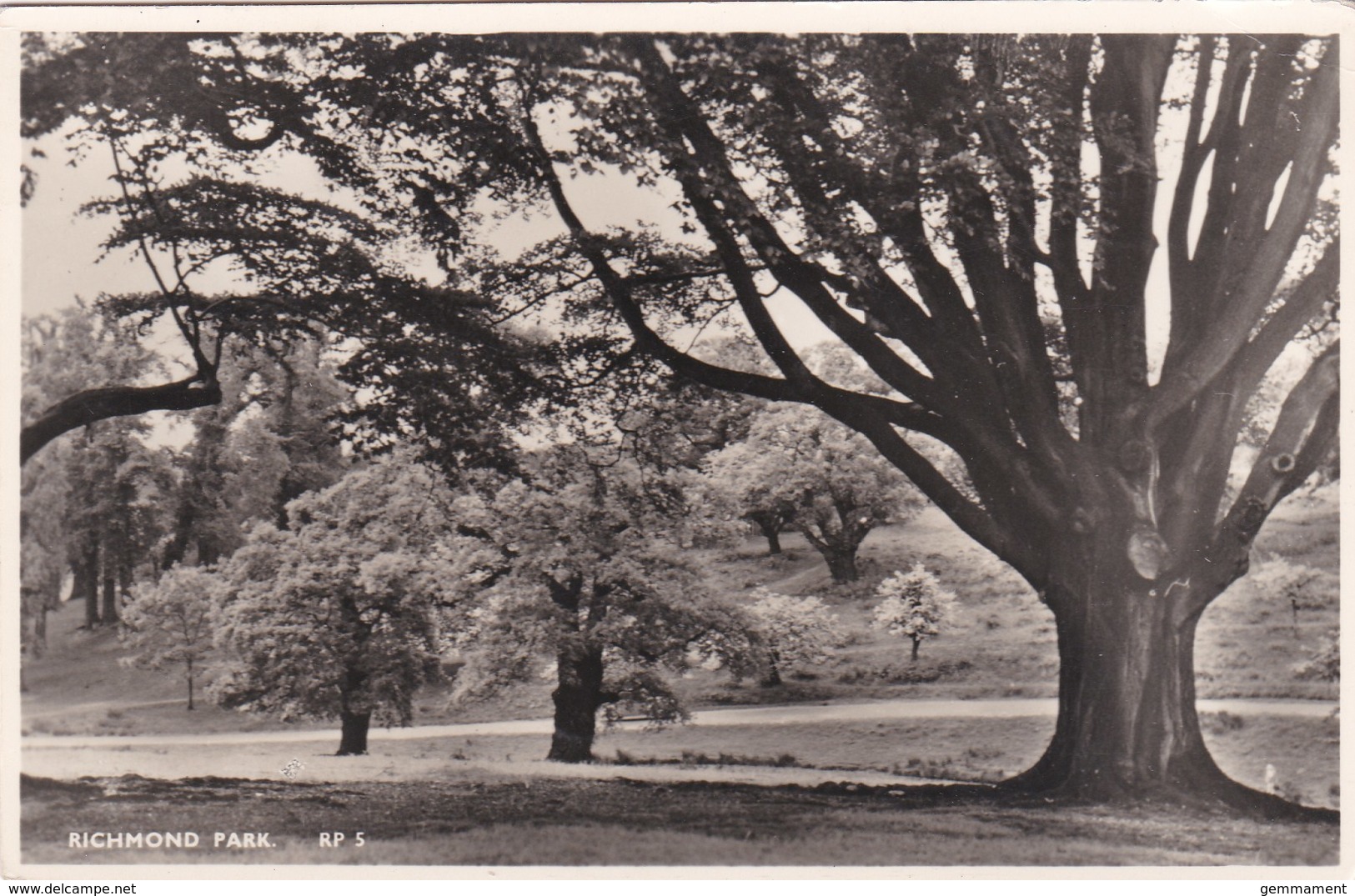 RICHMOND PARK - Surrey