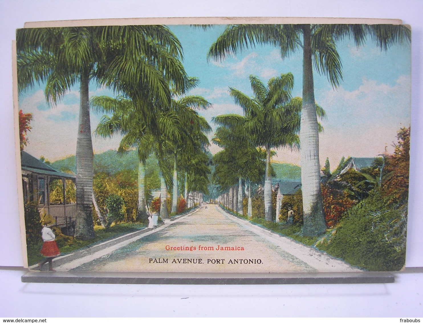 ANTILLES - GREETINGS FROM JAMAICA - PALM AVENUE - PORT ANTONIO - Jamaïque