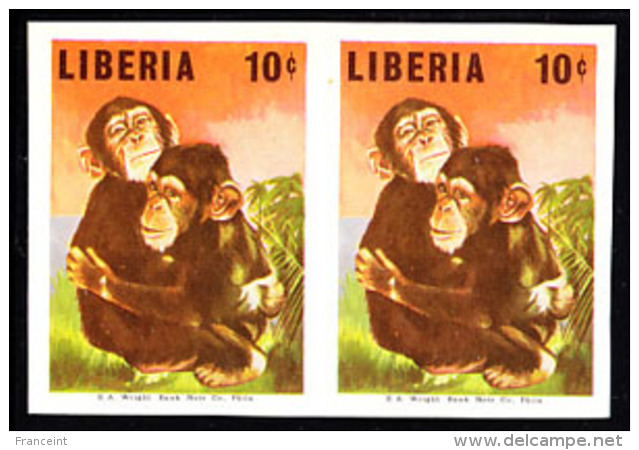 Liberia (1966) Baby Chimpanzees. Imperforate Pair.  Scott No 454, Yvert No 432. - Chimpancés