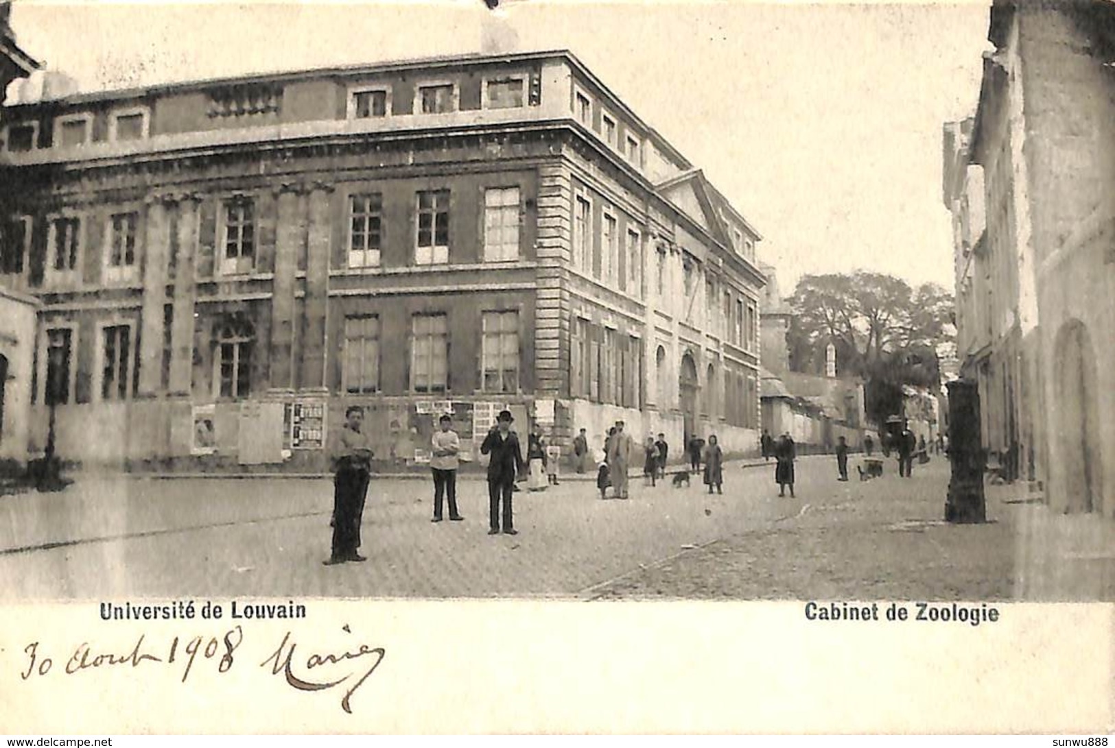 Université De Louvain - Cabinet De Zoologie (animatie, 1908....centre Du Bord Supérieur) - Leuven