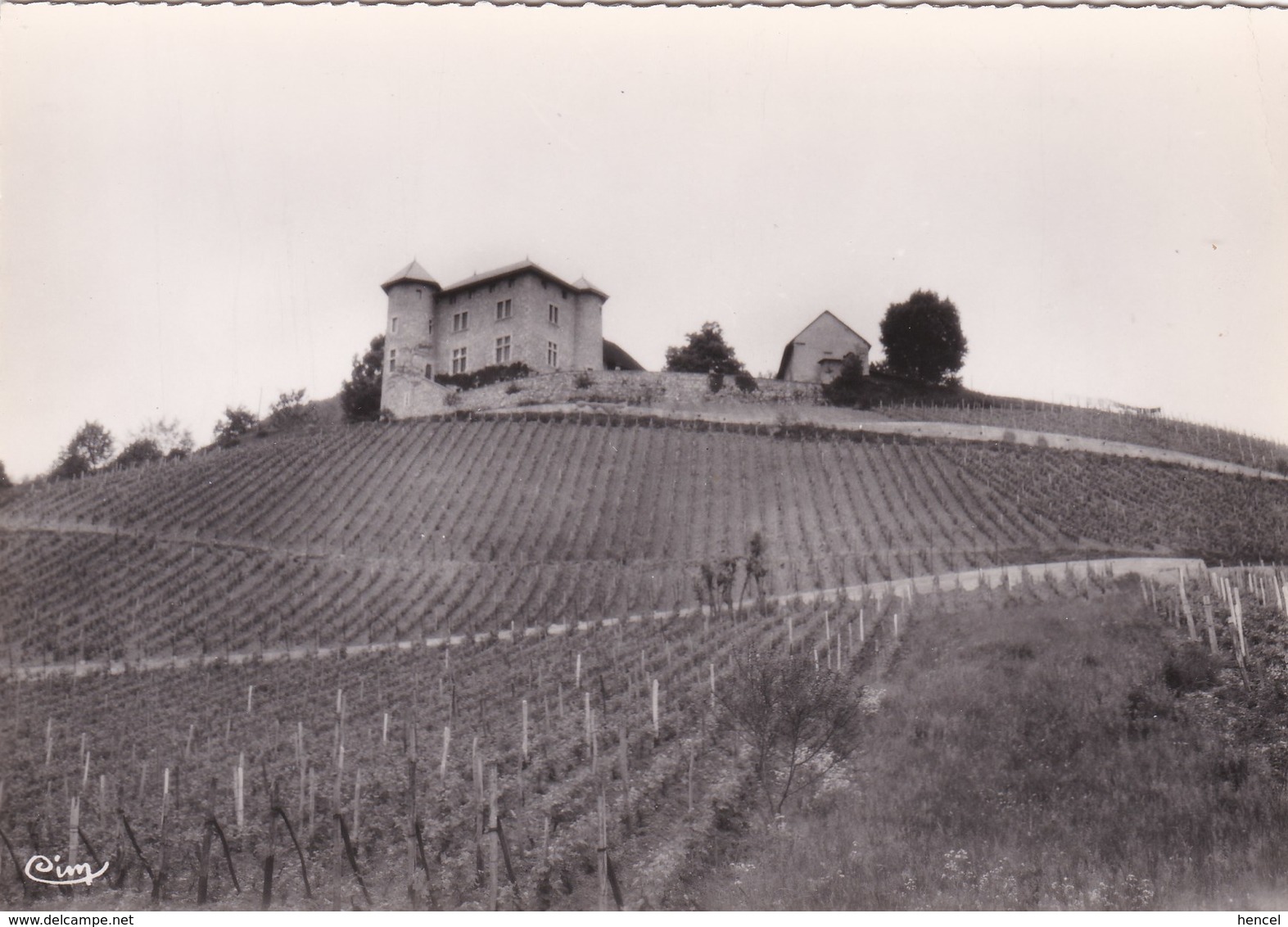 SAINT-ALBAN-LEYSSE .Vignoble Du Château De Monterminod - Altri & Non Classificati