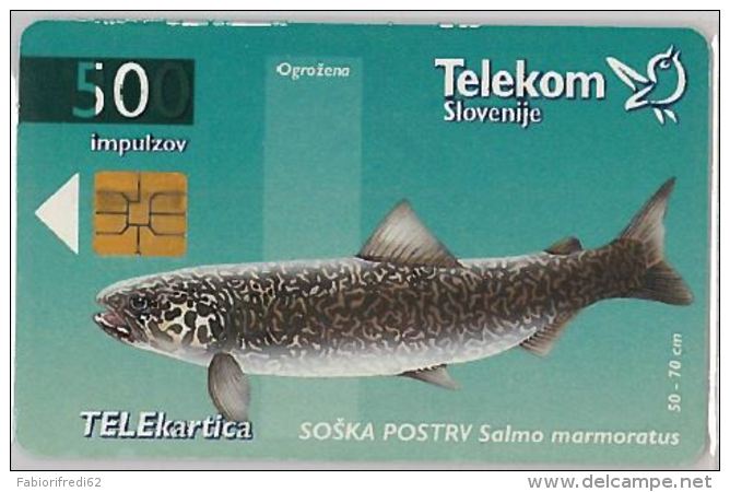 PHONE CARD  SLOVENIA (E16.25.6 - Altri – Europa