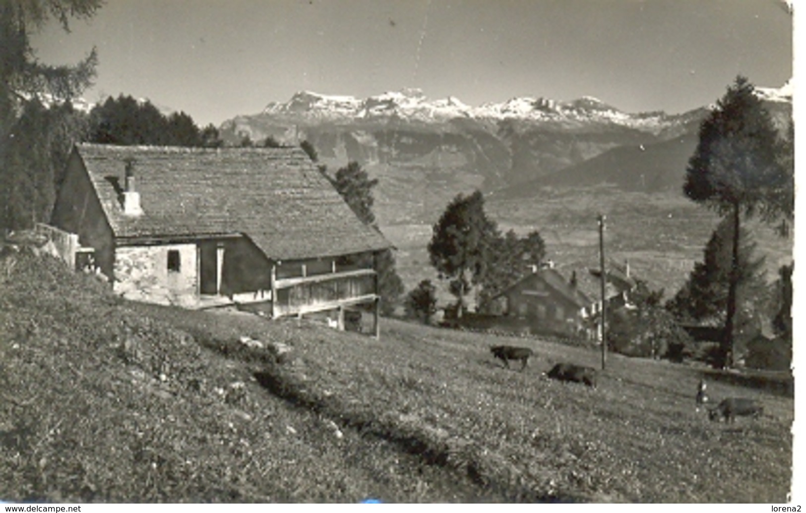 Postal Suiza. Escena De Campo. Matasellos 1957. Ref. 7-3ay110 - Campo