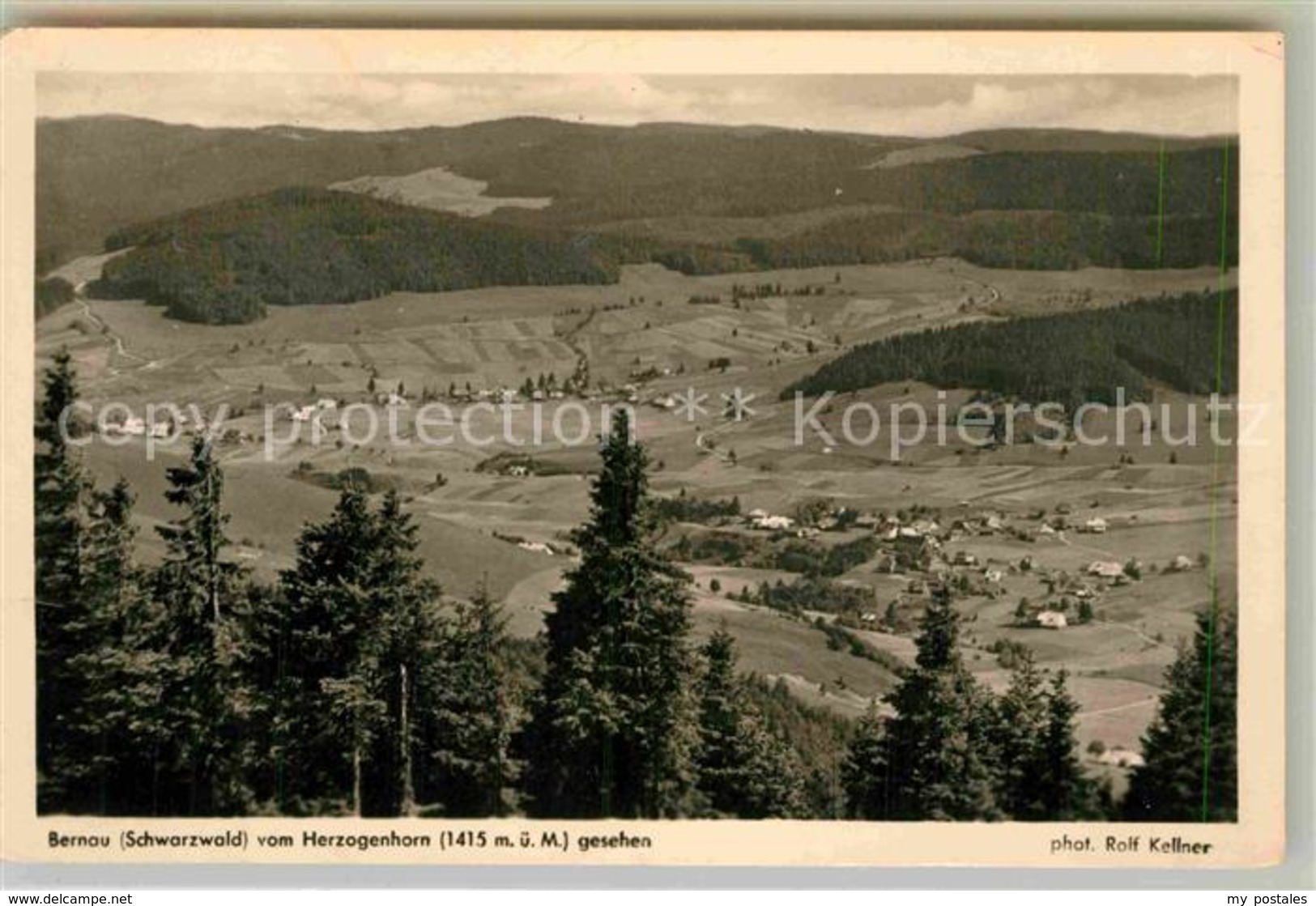 42809589 Bernau Schwarzwald Blick Vom Herzogenhorn Bernau Im Schwarzwald - Bernau