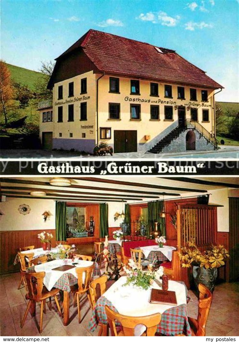 42811920 Elzach Gasthaus Gruener Baum  Elzach - Elzach