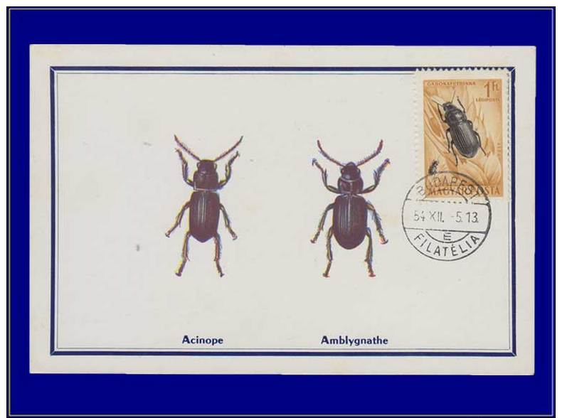 Hongrie, Carte Maximum, Yvert 165 PA, Insecte - Maximum Cards & Covers