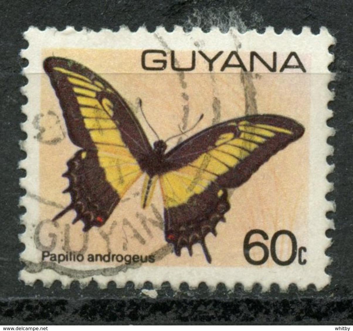 Guyana 1980 60cc  Burtterfly Issue  #286a - Guyana (1966-...)