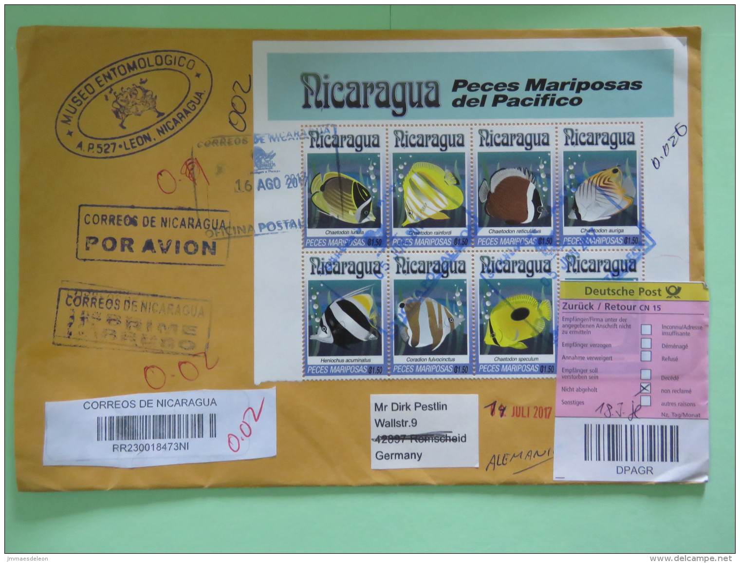 Nicaragua 2017 Registered Cover To Germany Returned - Fishes - Helicopter Writer DHL - Nicaragua