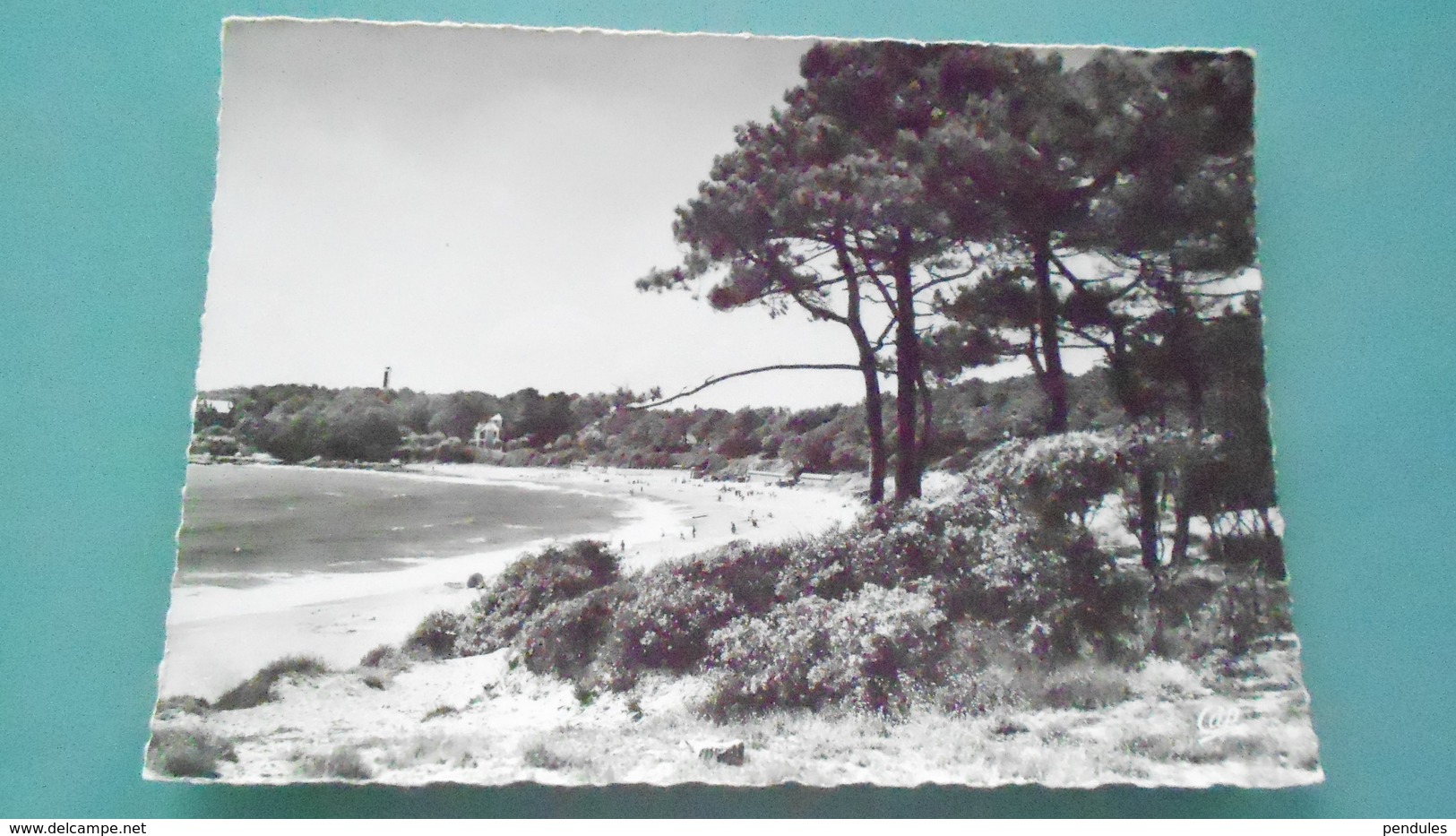 17	CARTE DE LA CHARENTE MARITIME	N° DE CASIER 	203	DETAIL RECTO VERSO DE LA CARTE AVEC LES 2   PHOTOS	CARTE DE 150X105 - Autres & Non Classés