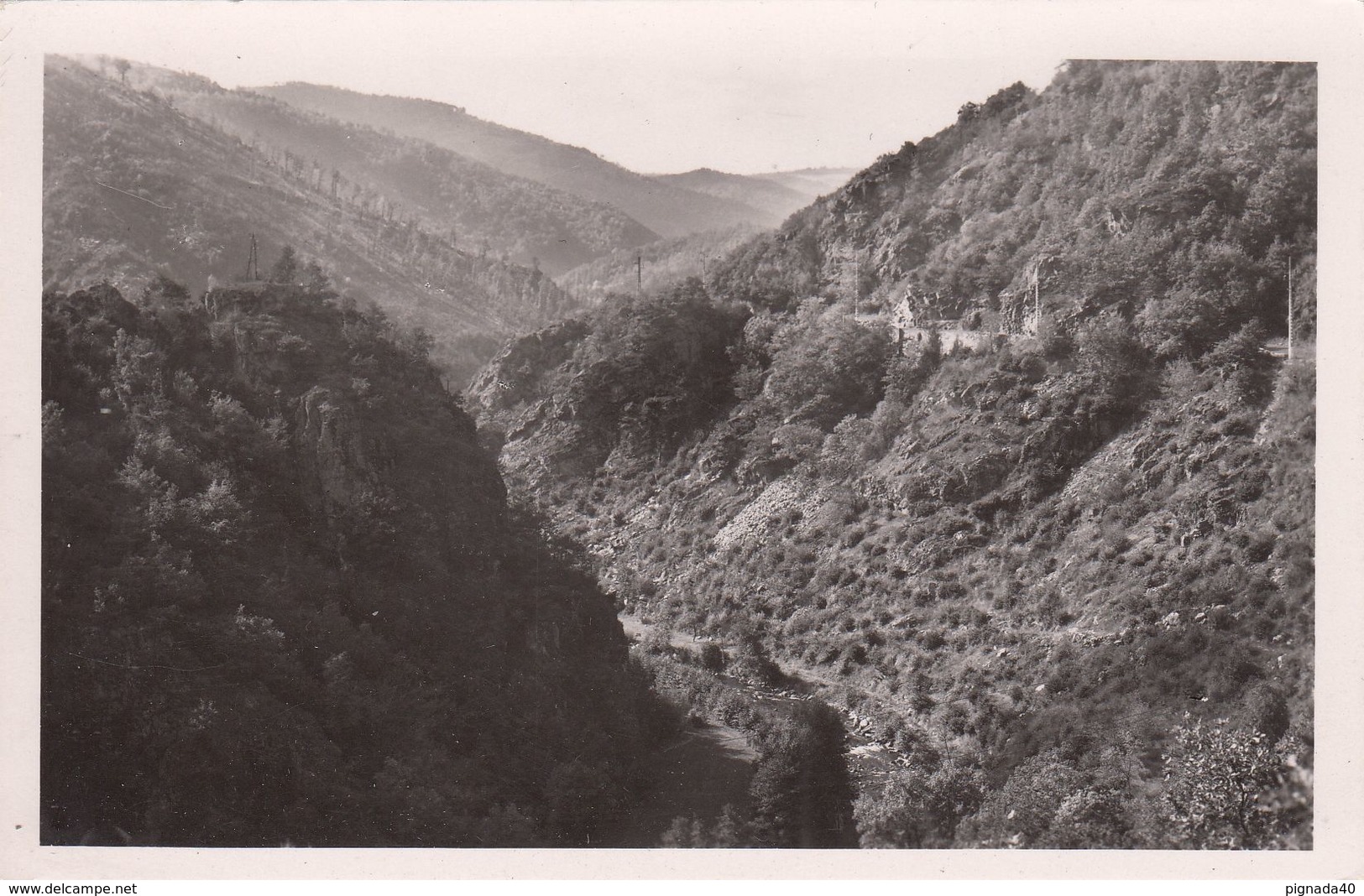 Cp , 15 , MASSIAC , Envierons , Gorges De L'Allagnon (truites, Chevesnes, Barbeaux, Goujons, Ablettes) - Autres & Non Classés