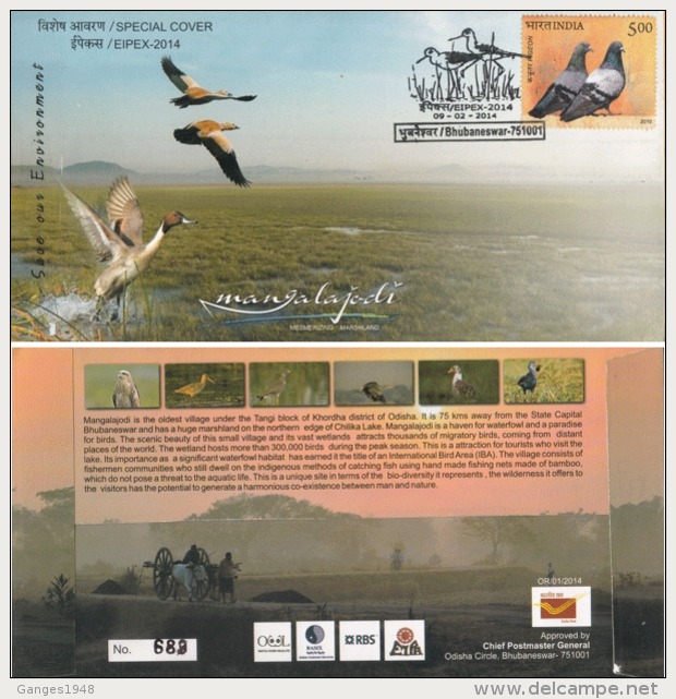 India  2014  Cranes  Birds  Mangalajodi Marshlands  Cover  #   10286   D  Inde Indien - Cranes And Other Gruiformes