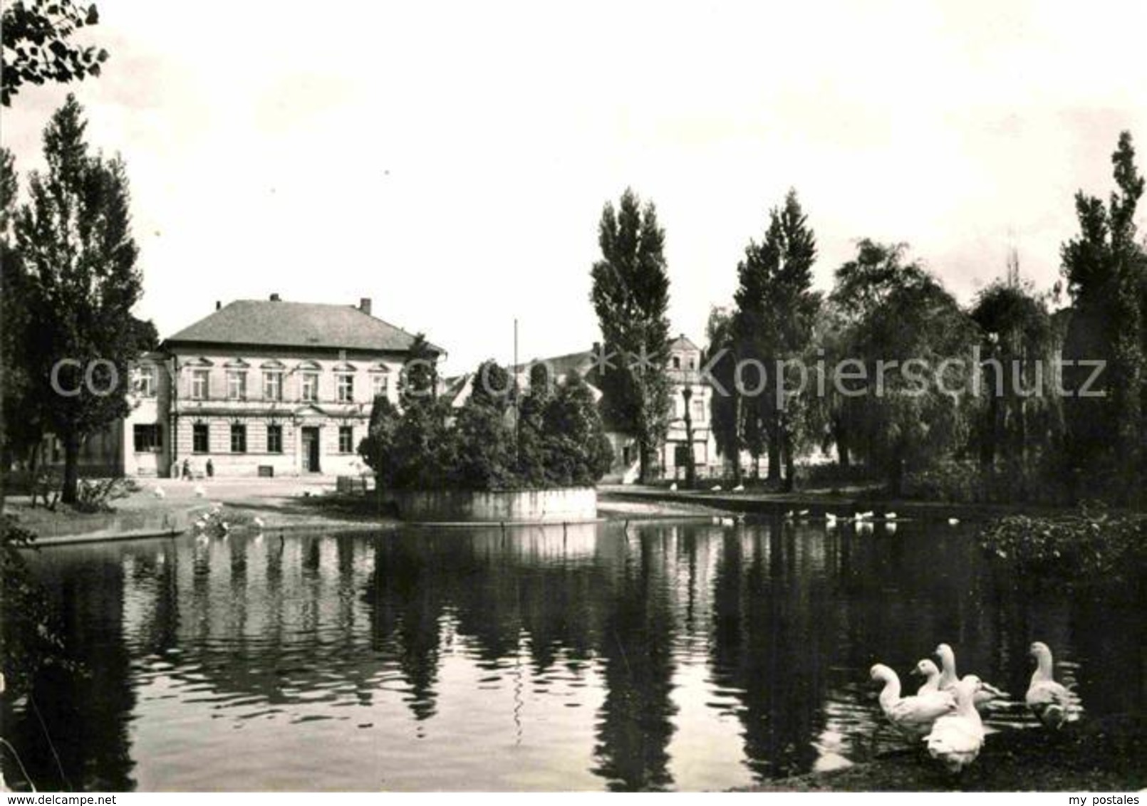 72854698 Chotetov Seepartie Tschechische Republik - Günzburg