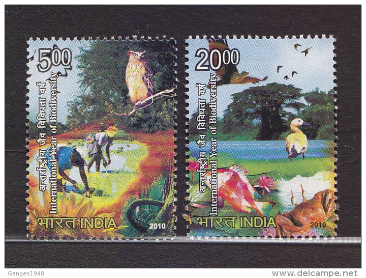 India 2010  Owls  Ducks  Birds  Biodiversity  2v  # 62653 Inde Indien - Owls