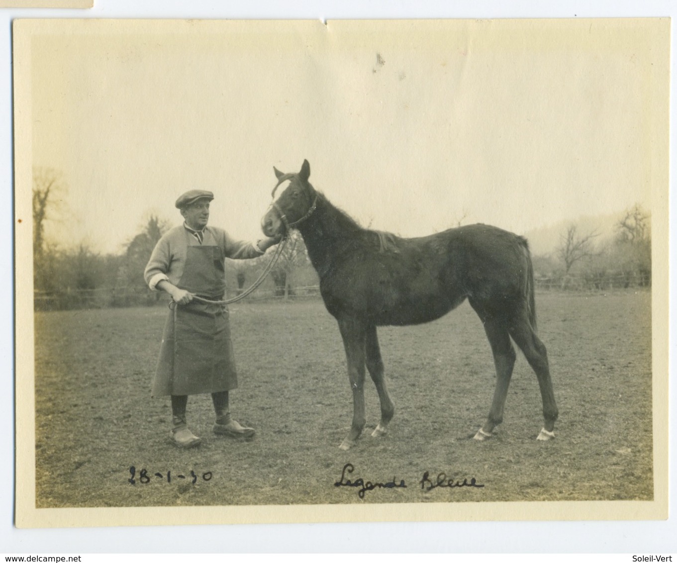 Equitation / Cheval Avec Légende 1930 - Mestieri