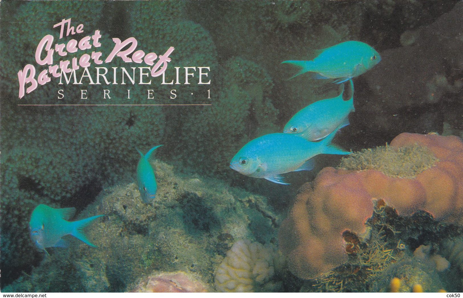 AUSTRALIA 1984 - "The Great Barrier Reef" Presentation Pack - Presentation Packs