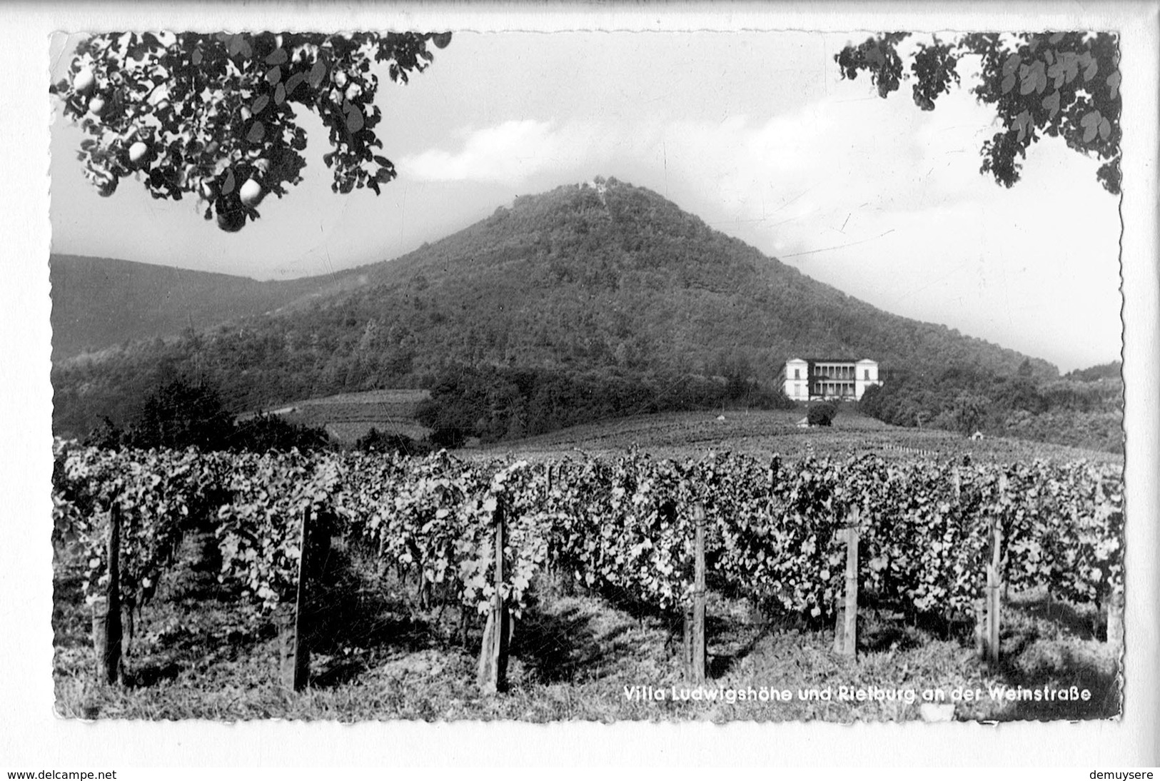 46107 - VILLA LUDWIGSHOHE UND RIETBURG AN DER WEINDTRASSE - Edenkoben