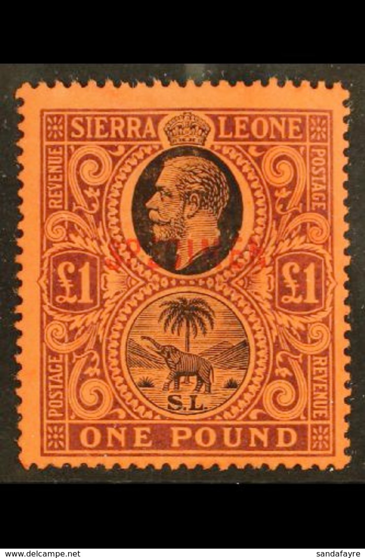 1912-21  £1 Black & Purple On Red With "SPECIMEN" Overprint, SG 128s, Mint Part Gum, Fresh. For More Images, Please Visi - Sierra Leone (...-1960)