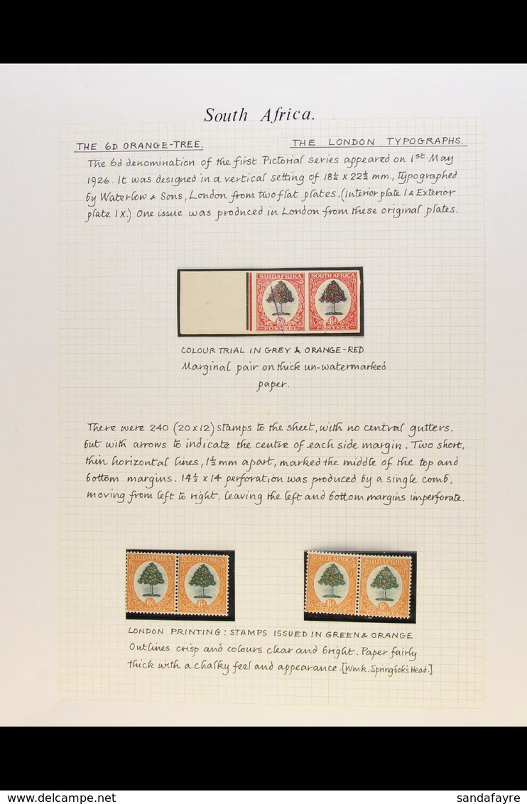 1926-51 SIXPENCE ORANGE TREE ISSUES  STUDY COLLECTION - Very Well Written Up On Pages, With 1926-7 Imperforate COLOUR TR - Ohne Zuordnung
