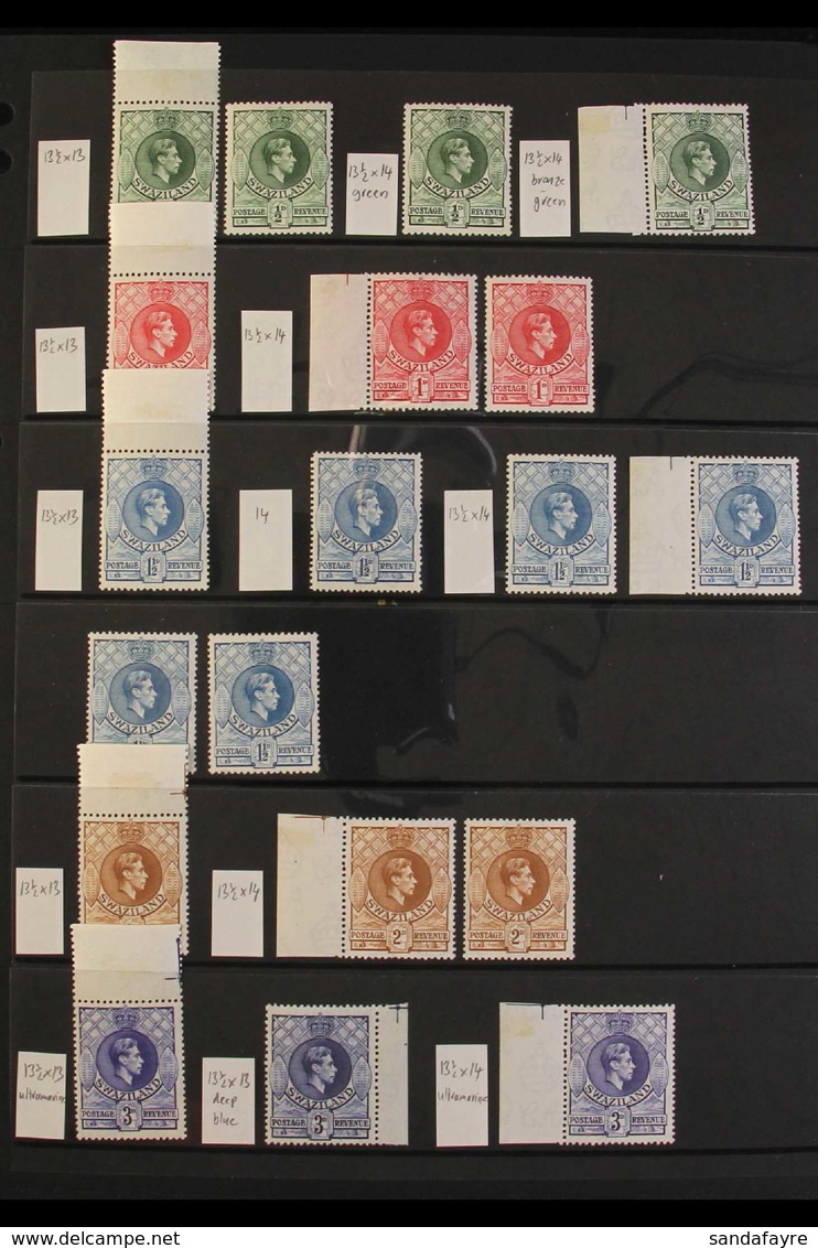 1938-1954 DEFINITIVE ISSUES.  VERY FINE MINT COLLECTION On Stock Pages With All Perforation Types And Most Listed Shades - Swasiland (...-1967)