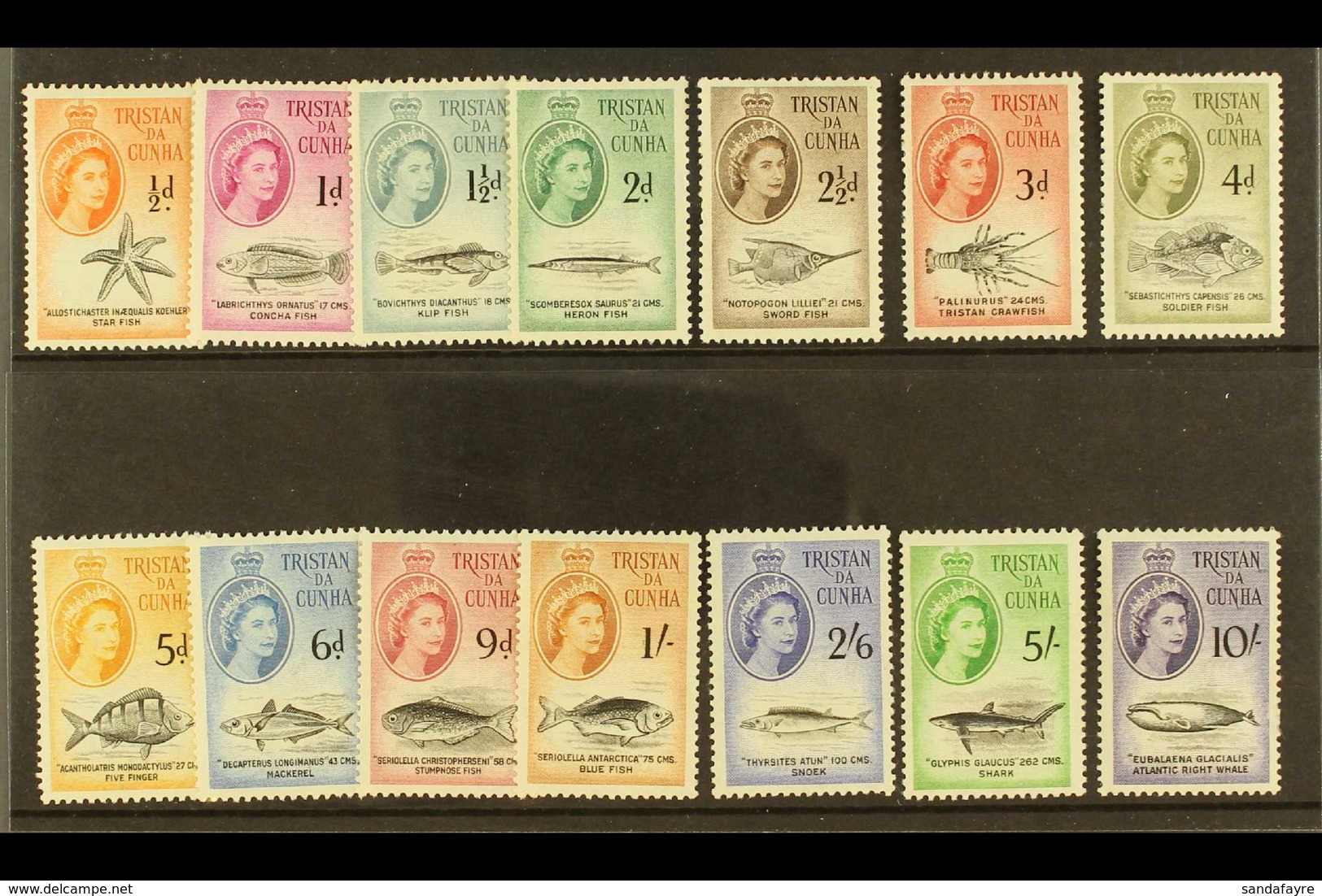 1960  Marine Life Definitive Set, SG 28/41, Never Hinged Mint (14 Stamps) For More Images, Please Visit Http://www.sanda - Tristan Da Cunha