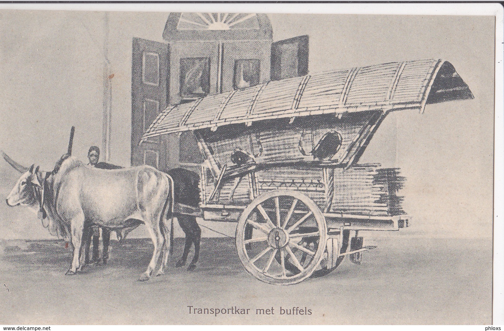 Transportkar Met Buffels/ Réf:fm431 - Indonesië