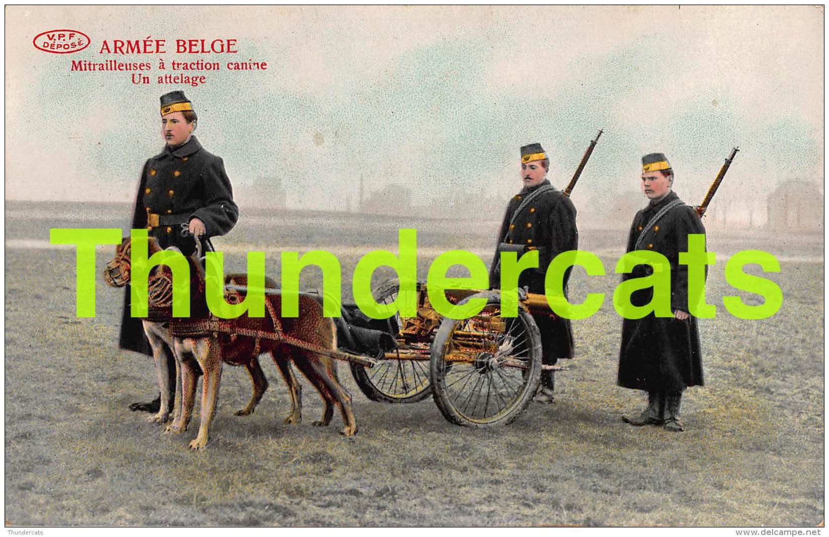 CPA ARMEE BELGE -  MITRAILLEUSES A TRACTION CANINE UNE ATTELAGE - Régiments