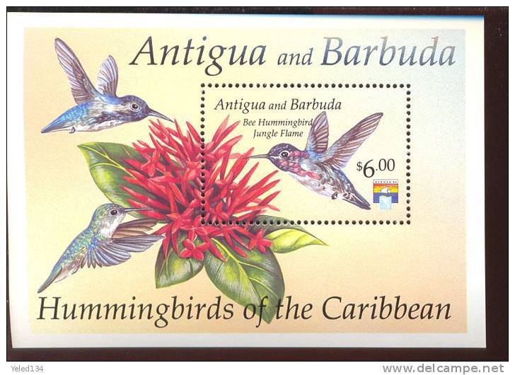 ANTIGUA & BARBUDA   1598 MINT NEVER HINGED SOUVENIR SHEET OF HUMMING BIRDS - Other & Unclassified