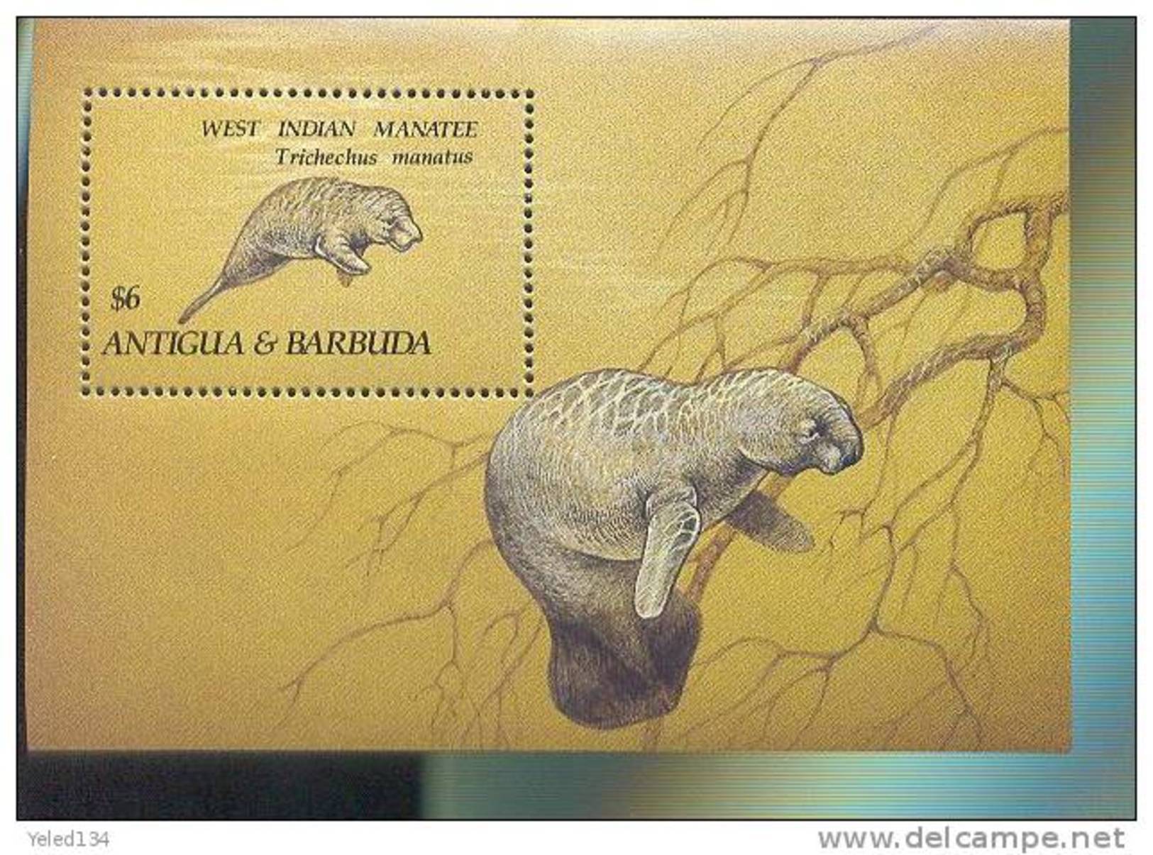 ANTIGUA & BARBUDA  1662 MINT NEVER HINGED SOUVENIR SHEET OF ENDANGERED SPECIES ; MANATEE ; ANIMALS - Other & Unclassified