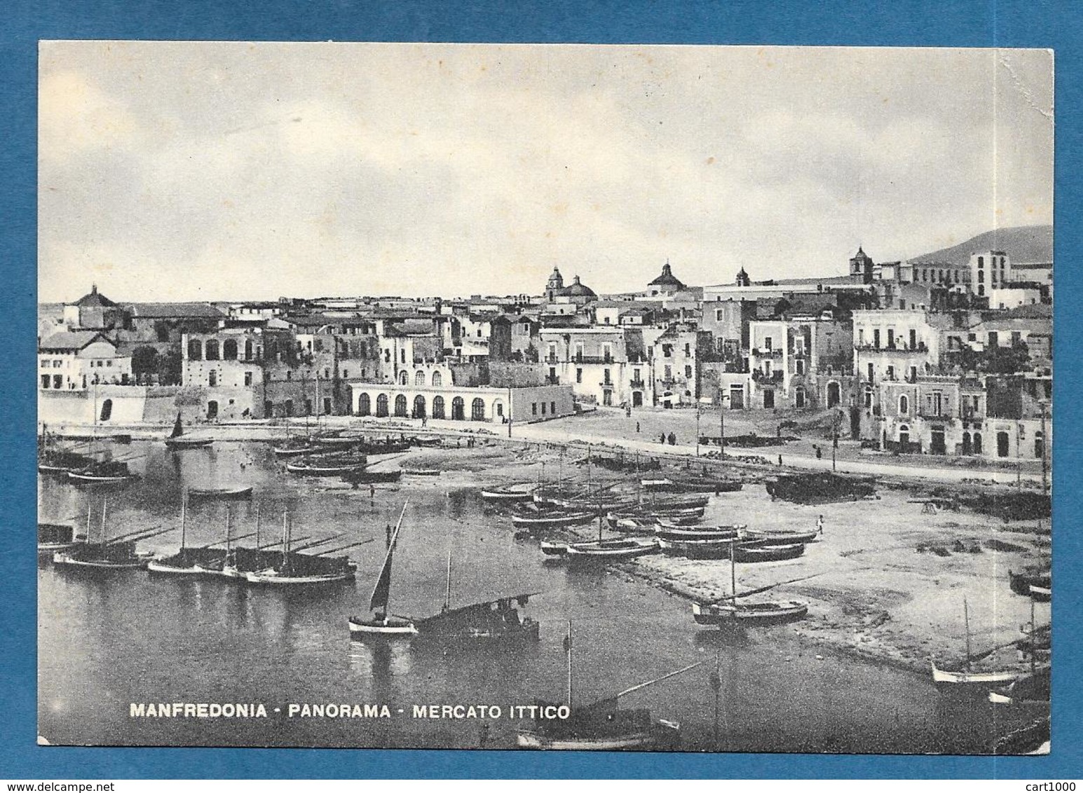 MANFREDONIA FOGGIA MERCATO ITTICO VG, 1952 - Manfredonia