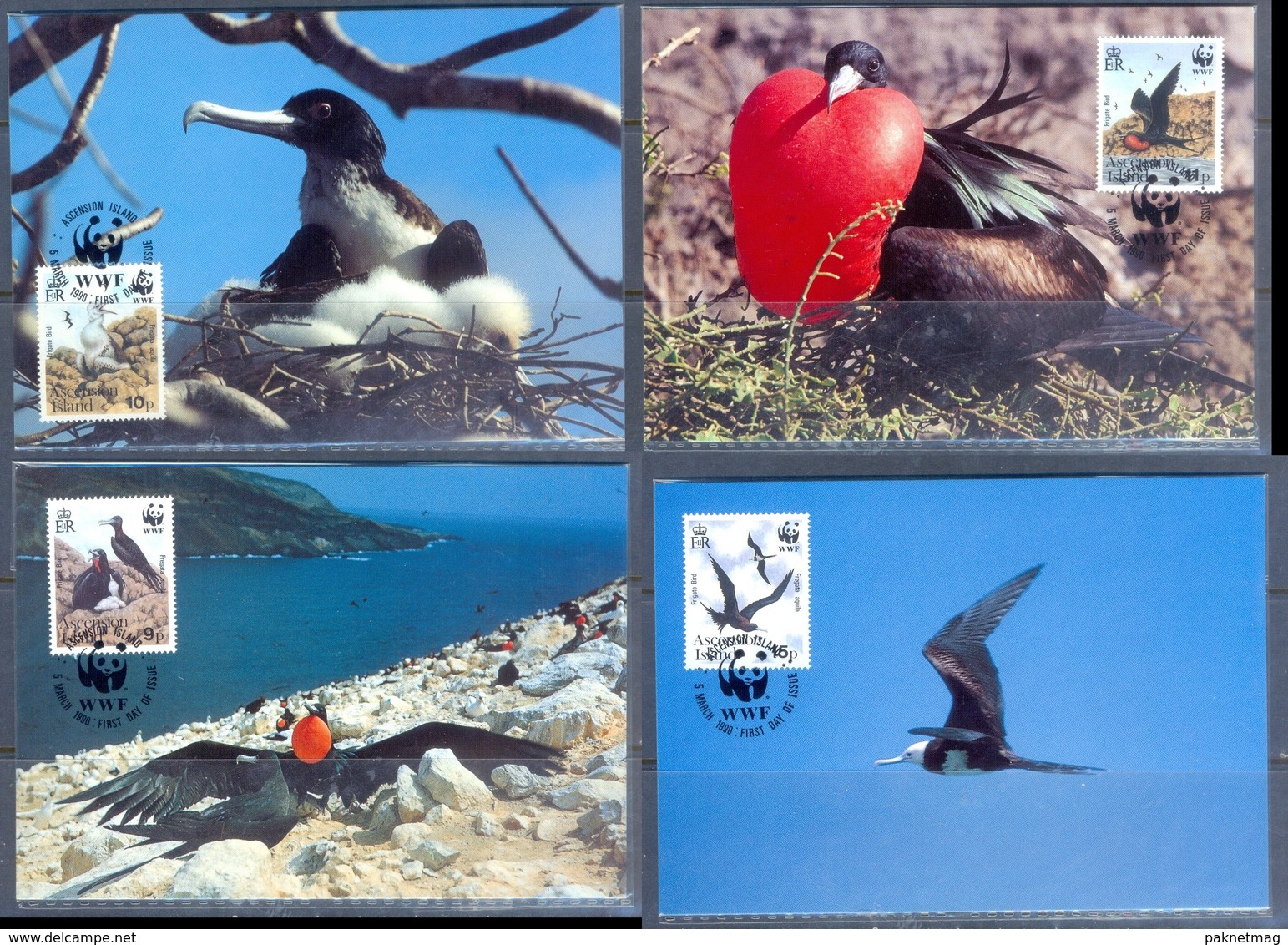 G366- Ascension Island Maxi Cards 1990 Adlerfregattvogel Frigate Birds. WWF. W.W.F. - Maximum Cards