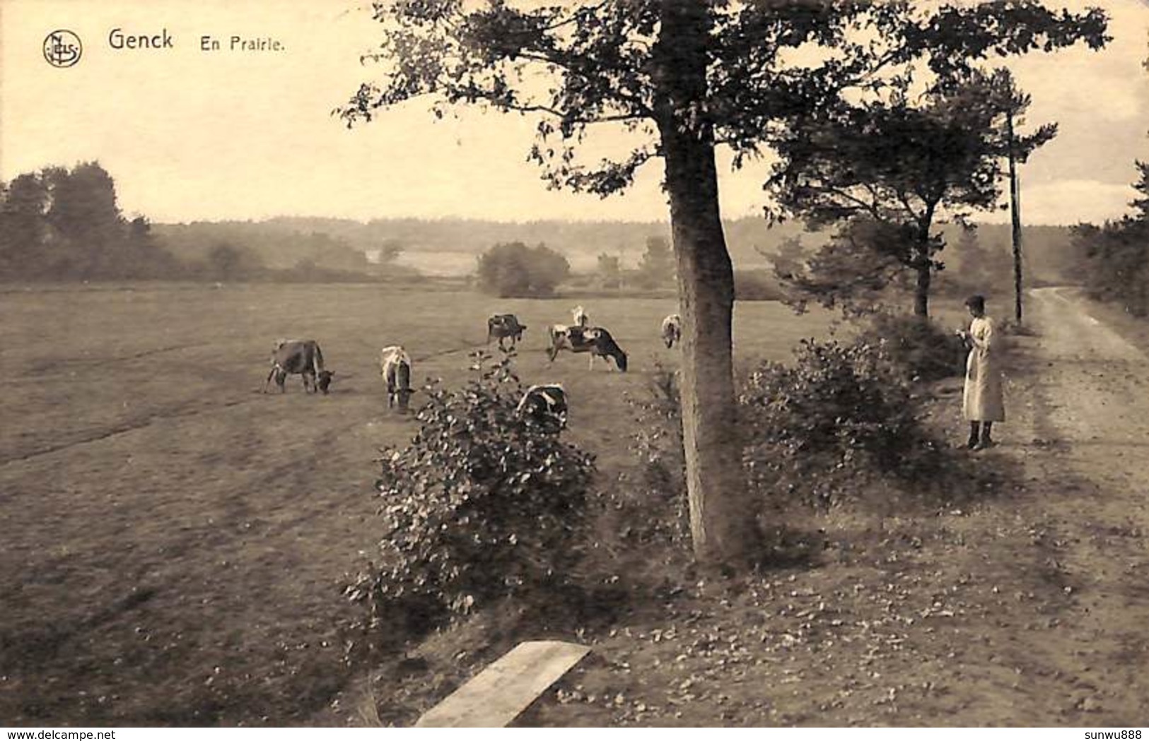 Genck - En Prairie (animée, Vaches, Edition Maison Stulens) - Genk