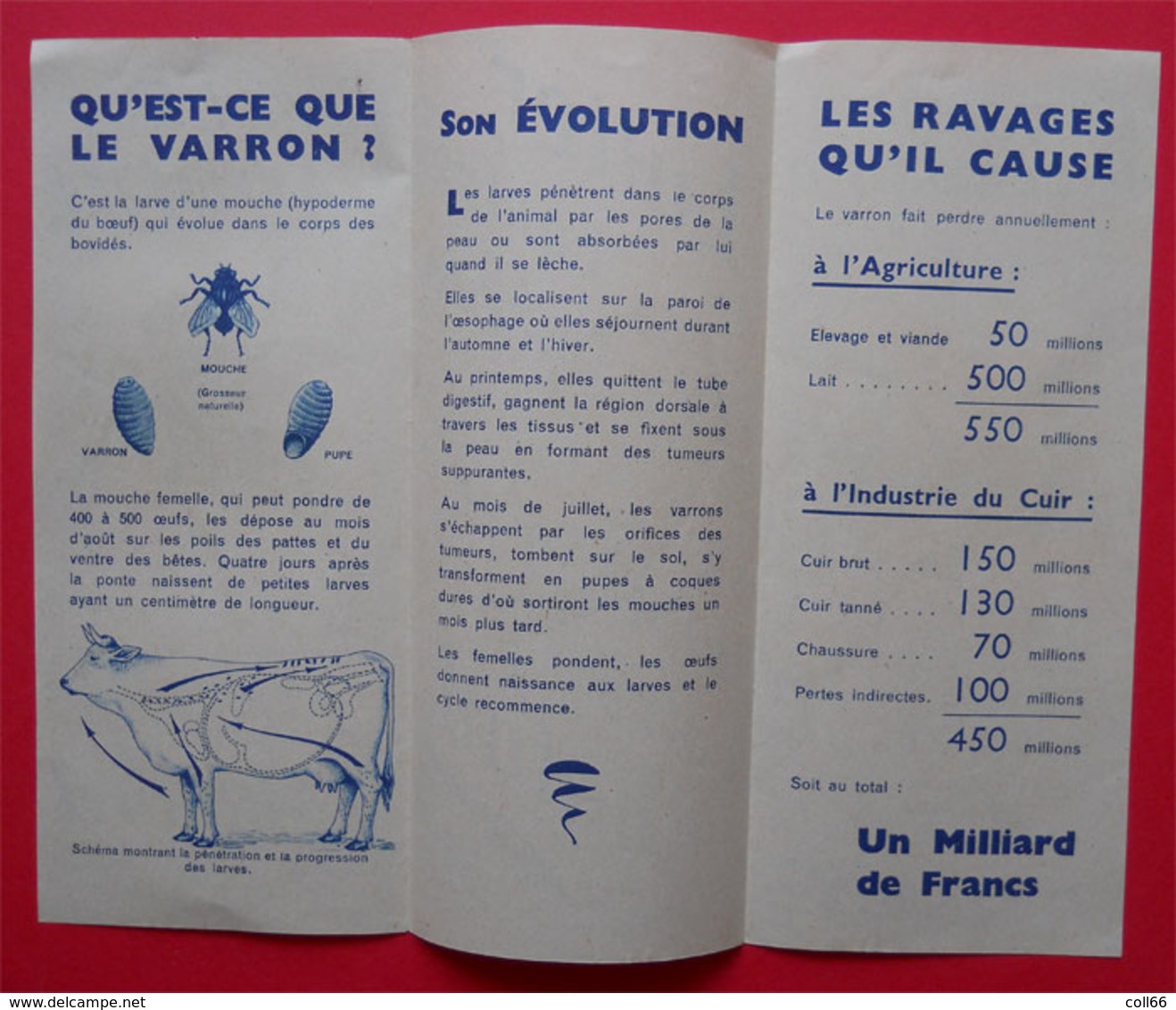 Publicité Combattre Le Varron Plaquette Illustrée édit Comité Des Cuirs Et Peaux Bruts R Le Begue Dessin - Publicités