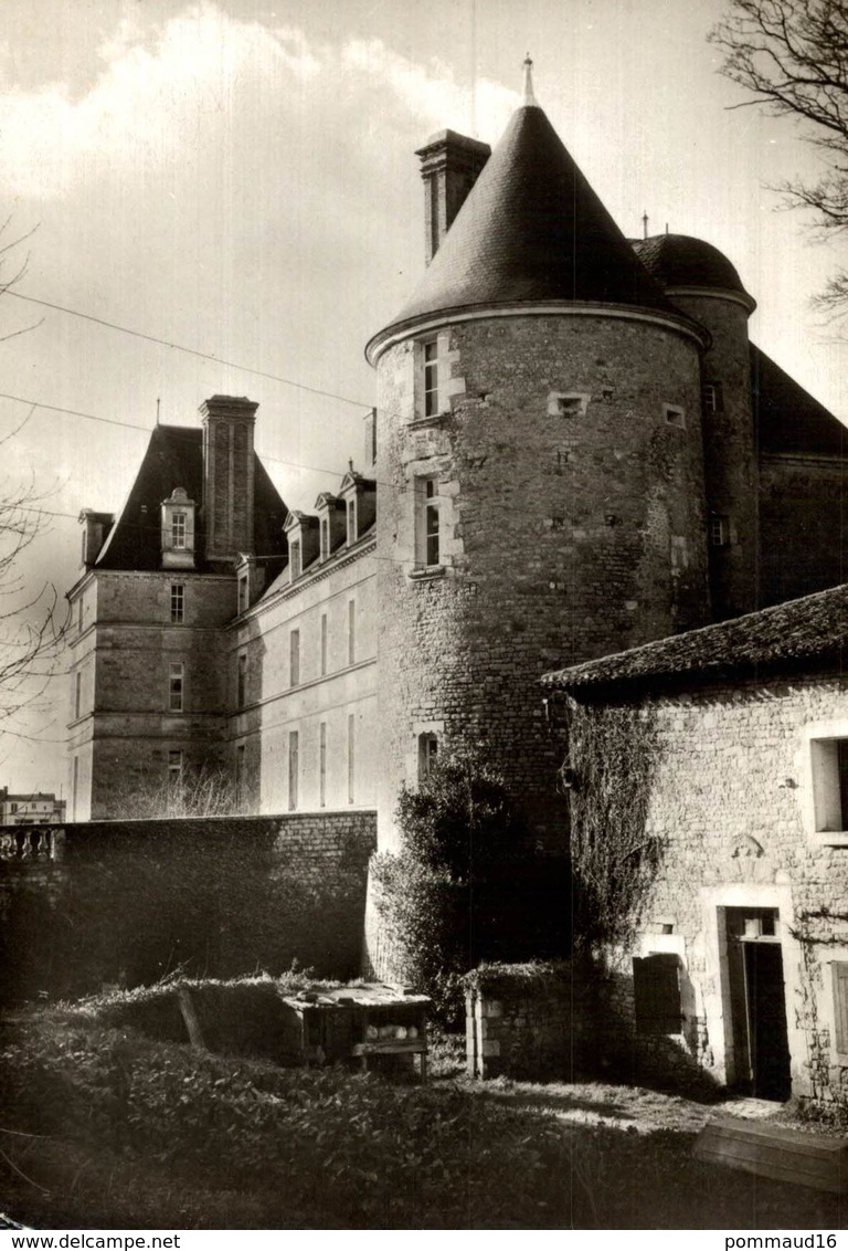 CPSM Château De Sainte-Hermine - Invasi D'acqua & Impianti Eolici