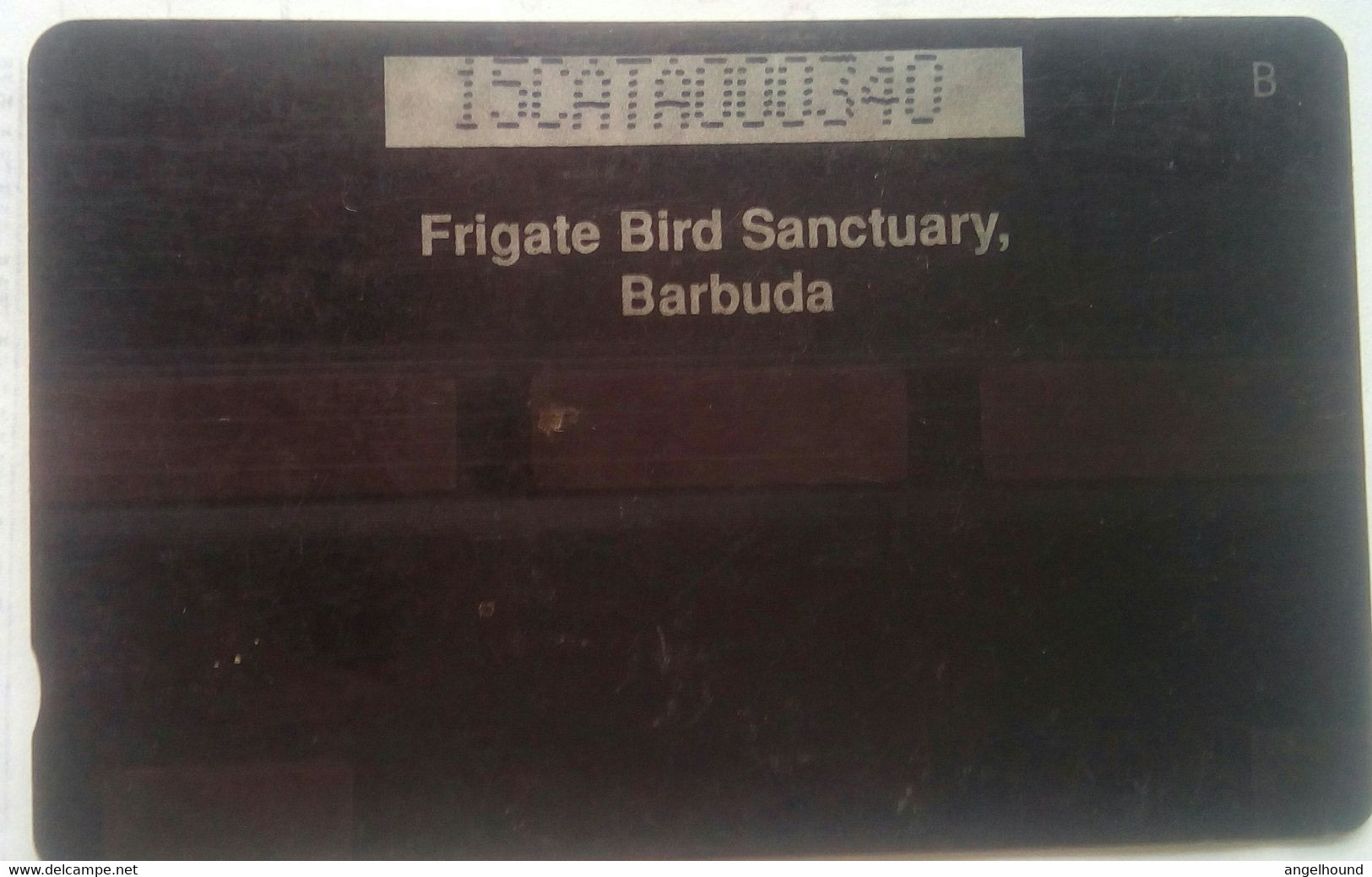 15CATA Frigate Bird EC$60 - Antigua En Barbuda