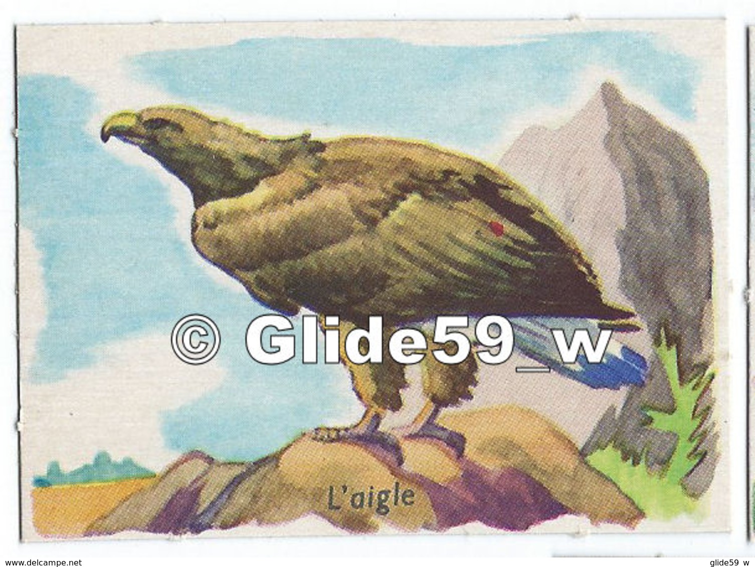 Image - L'aigle - 2 - Animals