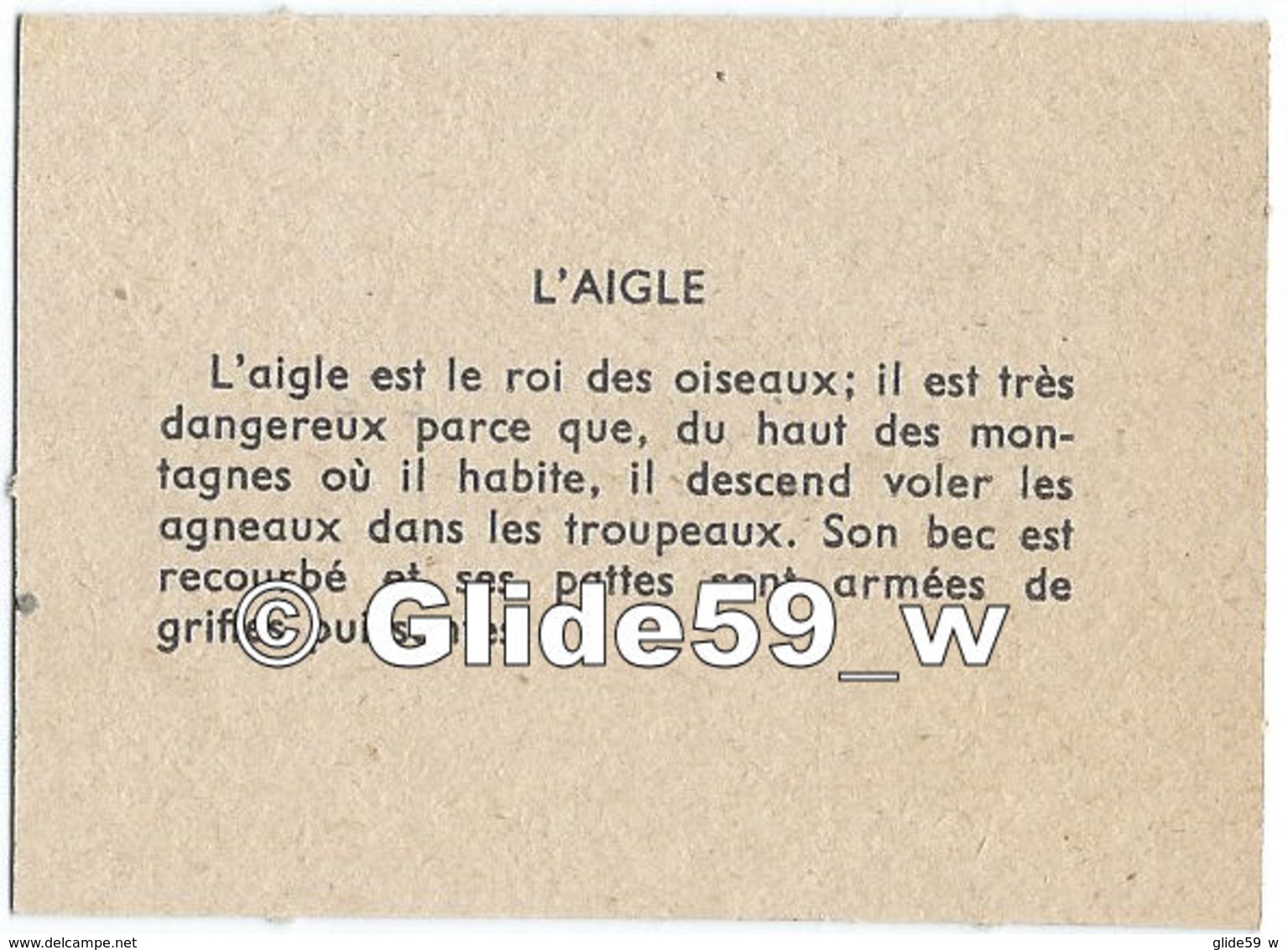 Image - L'aigle - 2 - Animals