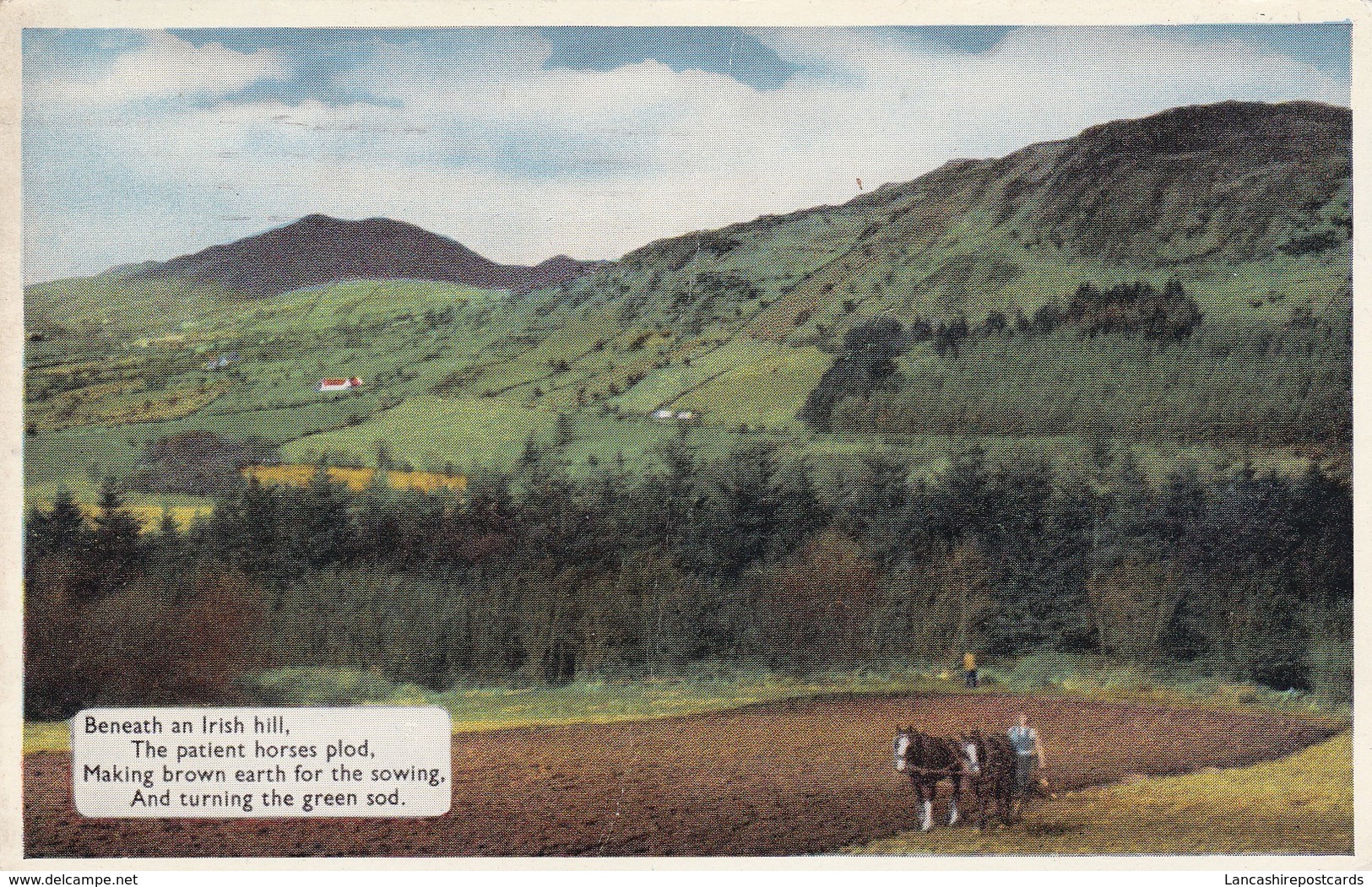 Postcard Beneath An Irish Hill Ploughing With Horses PU Belfast 1961 [ Farming Interest ] My Ref  B12043 - Farmers