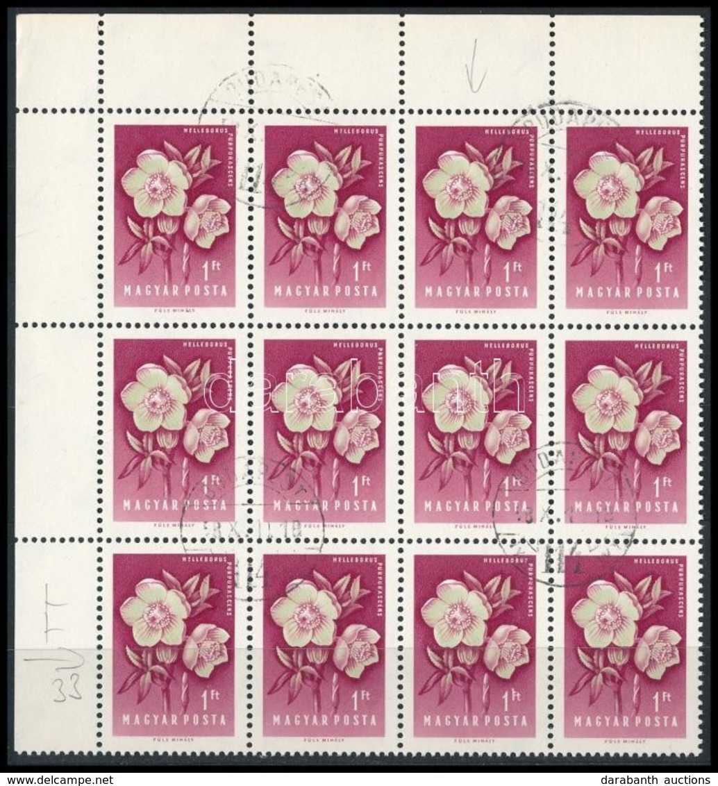 O 1958 Virág 1Ft ívsarki 12-es Tömb ,,F Bet?n Fehér Folt' Tévnyomat - Sonstige & Ohne Zuordnung