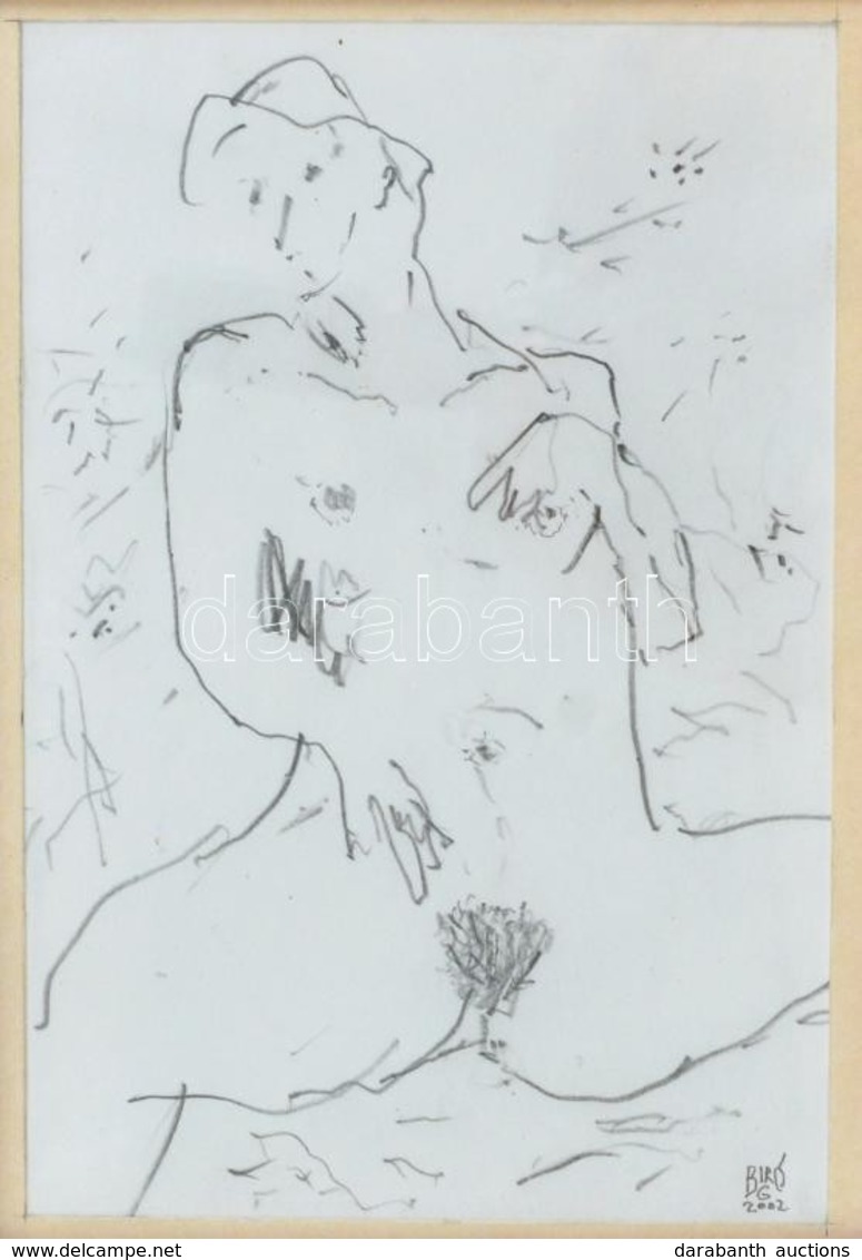 Biró Gábor (1955-): Erotikus Ceruzarajz. Jelzett. Üvegezett Keretben. 11x15 Cm - Sonstige & Ohne Zuordnung