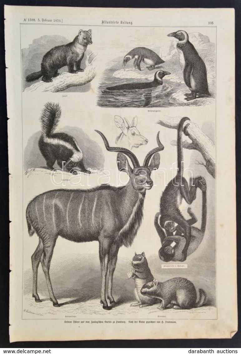 1870 Illusztrációk Az Illustrirte Zeitung Cím? újságból, 44 Db - Unclassified