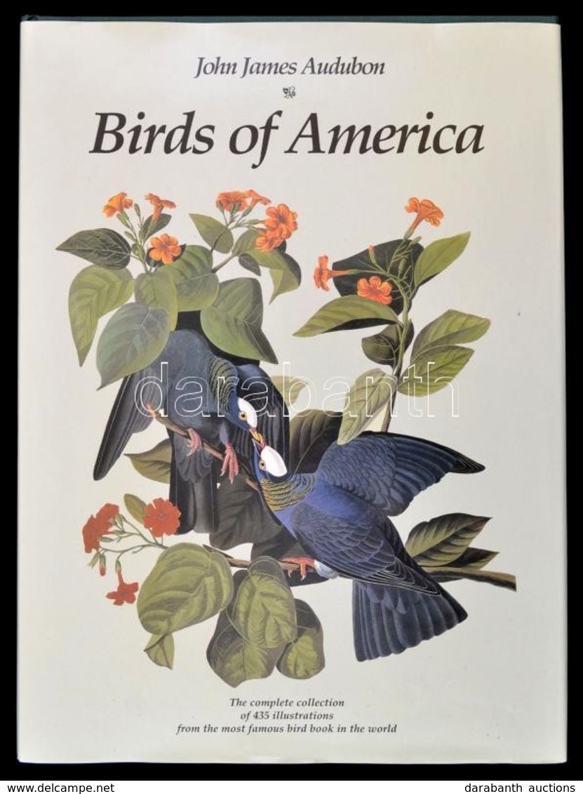 Audubon, John James: Birds Of America. Ware, 1997, Wordsworth Editions. Vászonkötésben, Papír Véd?borítóval, Jó állapotb - Ohne Zuordnung