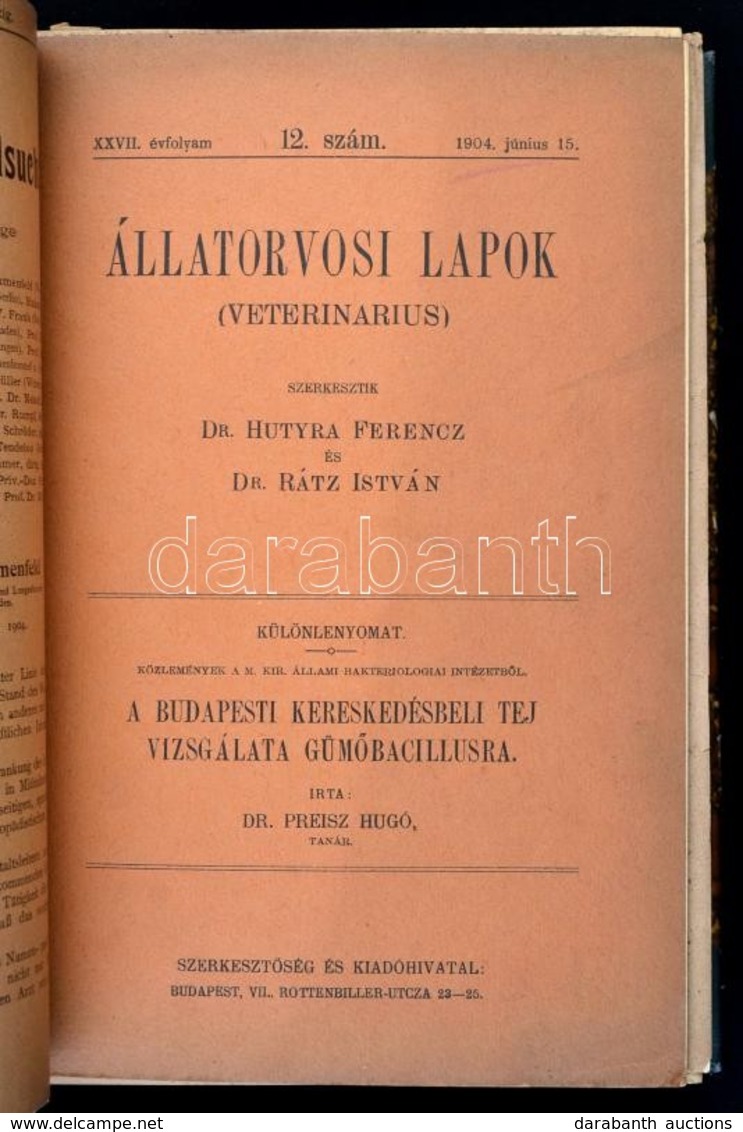 Dr. Preisz Hugó (1860-1940) Orvos, állatorvos, Bakteriológus, A Magyar Tudományos Akadémia Rendes Tagja 1900-1928 Között - Ohne Zuordnung