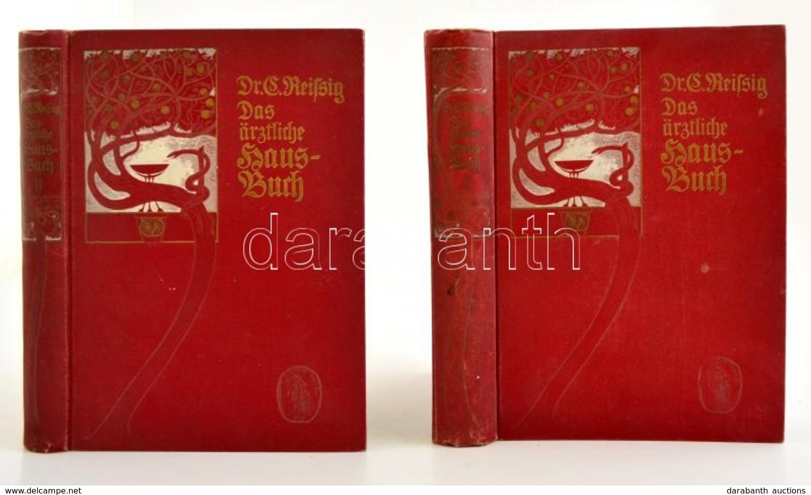 Reissig, Carl:Das Aerztliche Hausbuch Für Gesunde Und Kranke. Leipzig, 1904. F.C.W. Vogel Verlag, / Házi Orvoslás Könyve - Ohne Zuordnung