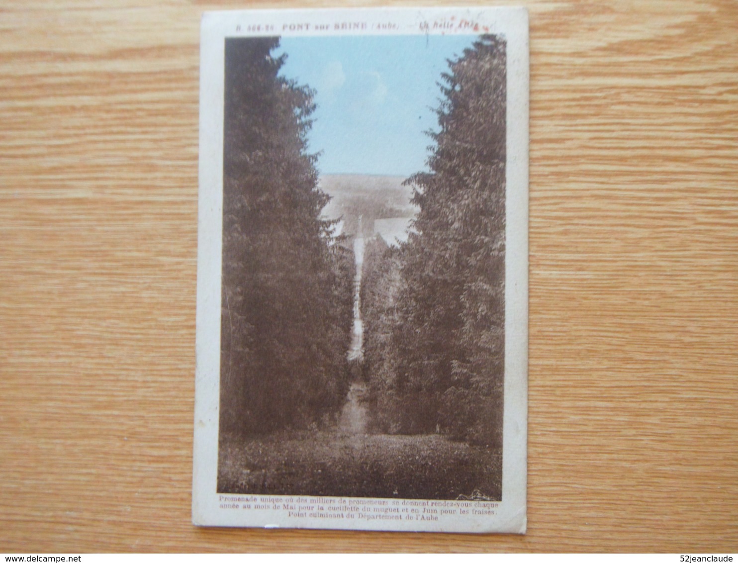 Les Environs Pont Sur Seine 1928 (promenade) - Romilly-sur-Seine