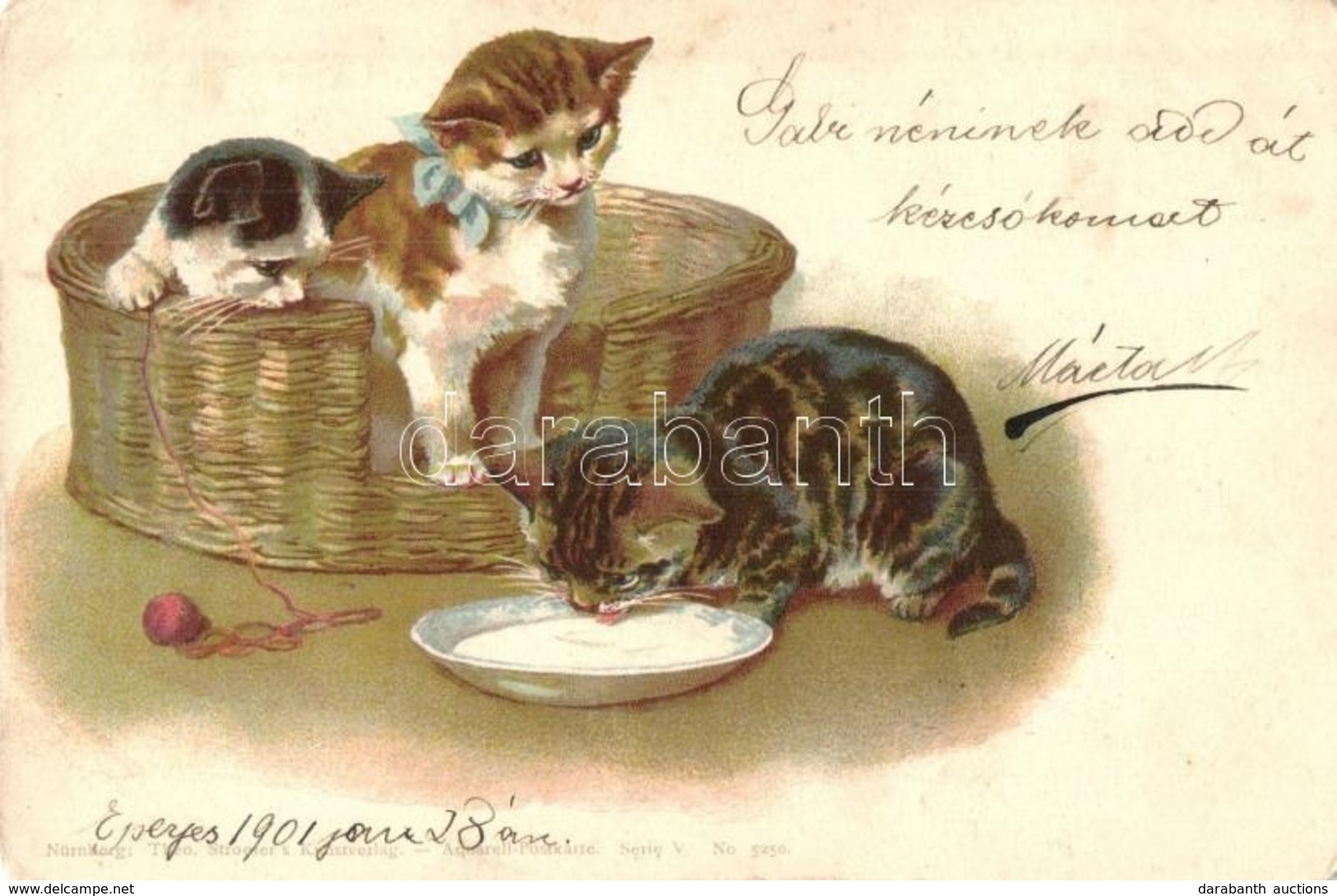 T2/T3 Cats. Theo. Stroefer's Kunstverlag Aquarell-Postkarte Serie V. No. 5250. Litho  (EK) - Non Classificati