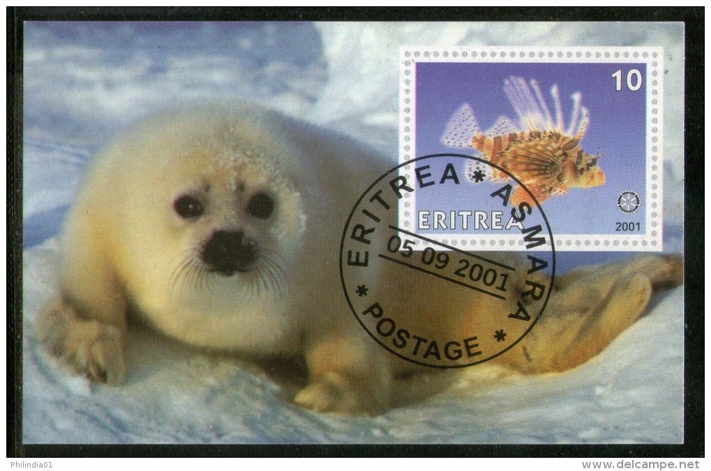 Eritrea 2001 Seal Fish Marine Life & Mammals Animals M/s Cancelled # 54 - Mundo Aquatico