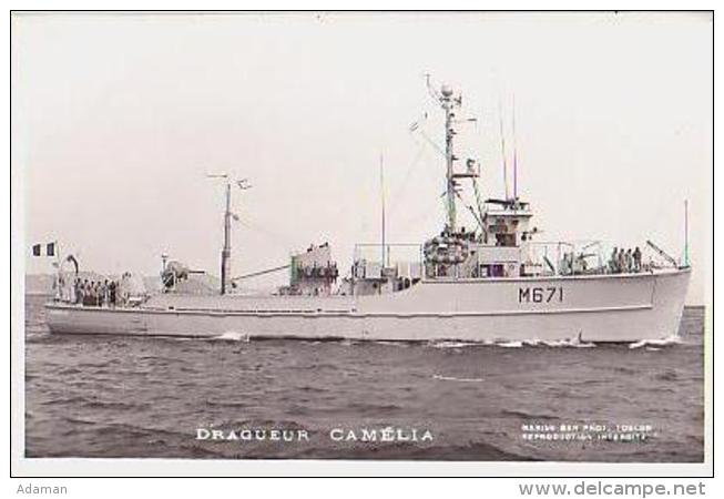 Dragueur        14       Dragueur CAMELIA - Warships